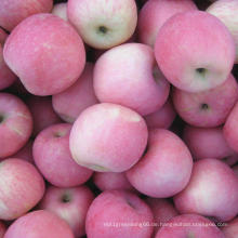 Süßer frischer roter FUJI Apple von China